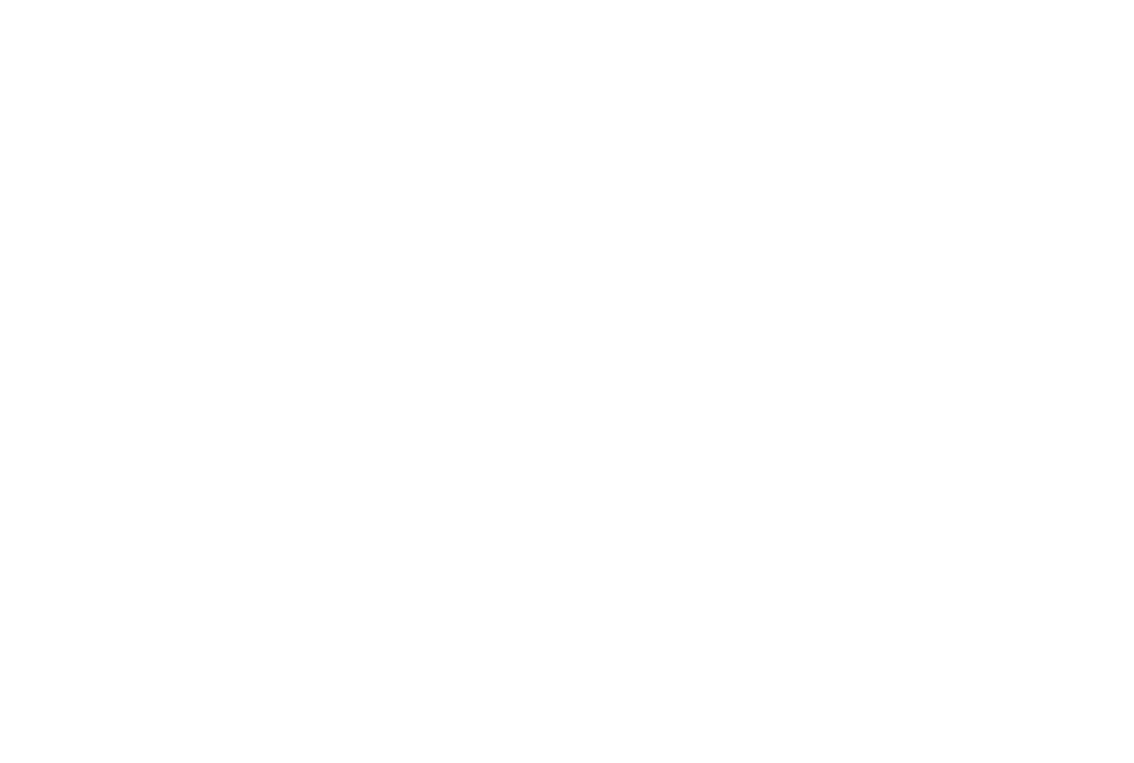 she she beauty studios Boston MA logo